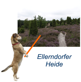 Ellerndofer Heide