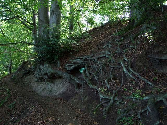 ... schöne Wanderwege gab.