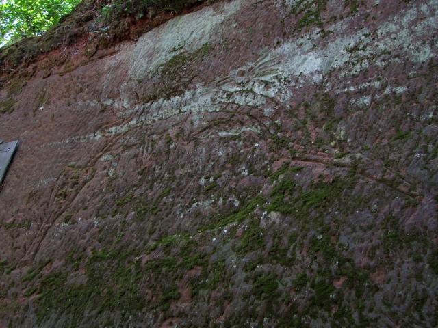 ... an der dieser "ichtiosaurus fantatsticus homburgensis" prangte.