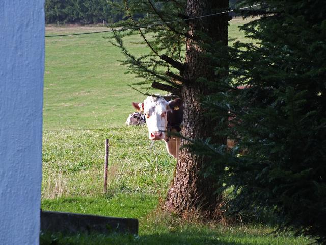 Willkommen im Schwarzwald! ... Aber der Reihe nach!