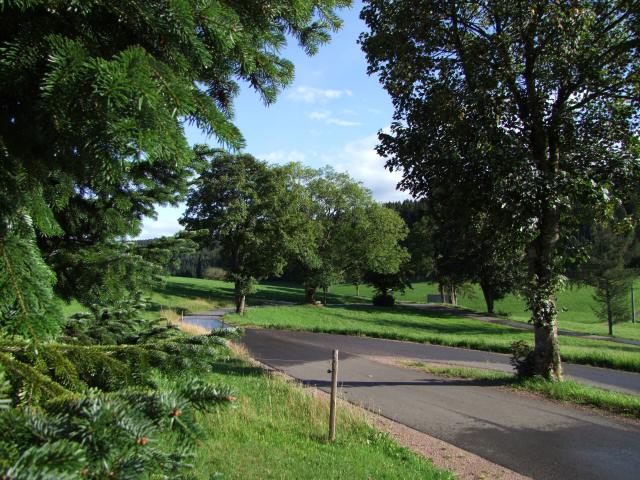 Einzig die feuchten Stellen auf der Straße erzählten vom Nass, dass vom Himmel gefallen war.
