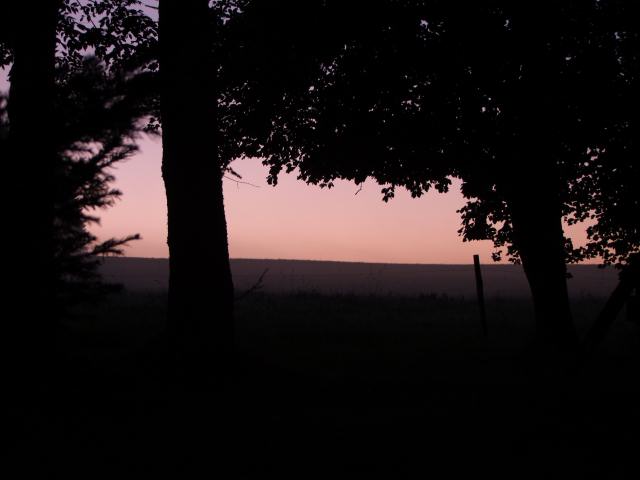 In der Morgendämmerung ...