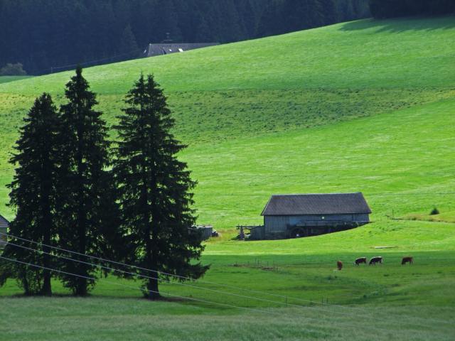 ... fiel uns diese alte Mühle auf.