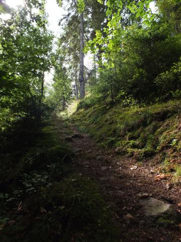 .... den Berg hinauf ...