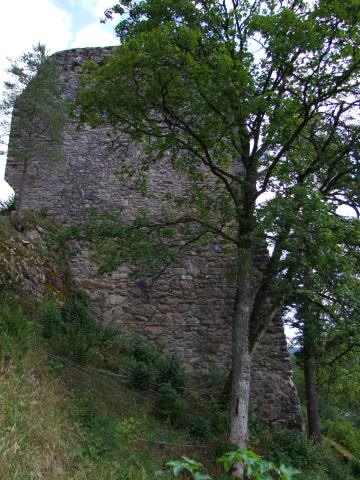 ... zur Ruine Neufürstenberg. Dort stellten wir dann fest ...