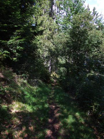 ... wieder den Berg hinunter ...