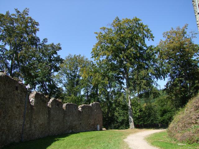 Innen hat die Ruine auch ...