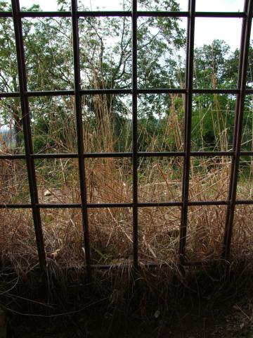 ... und landete vor einem Gitter.