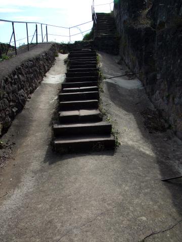 ... und krabbelten weiter hoch ...