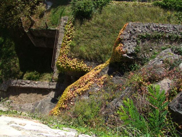 ... mit Blick auf den Burghof ...