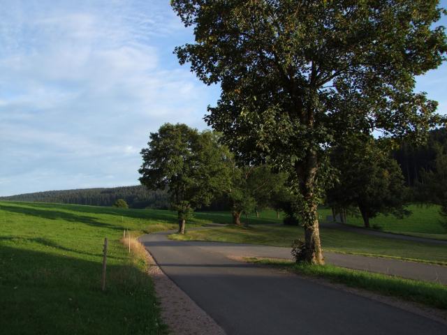 ... gemächlich zum Quartier ...