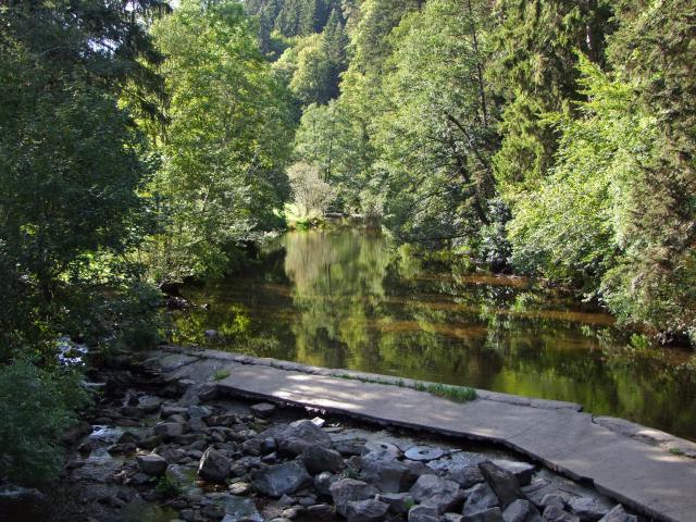 Wir reisten zur Wutach, um uns deren Schlucht anzusehen.