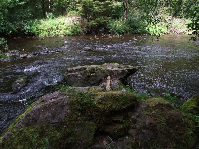 ... und erreichten wieder die Wutach.