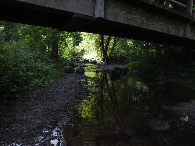 ... und machten uns kurzentschlossen auf ...