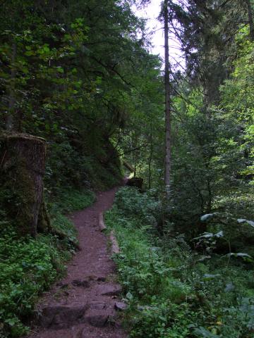 ... in die Lötenbachklamm.