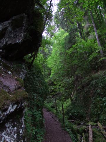 ... der Weg ist schmal ...