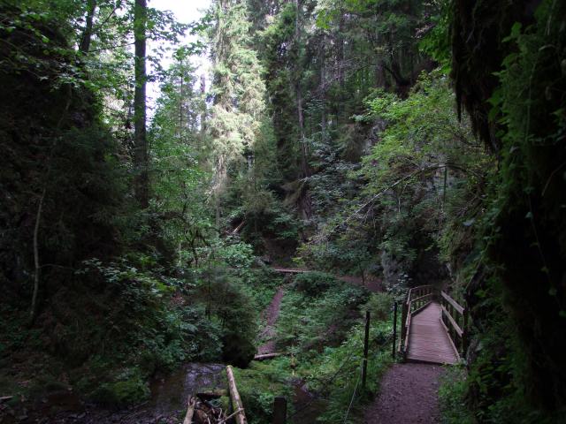 ... und kurvenreich.