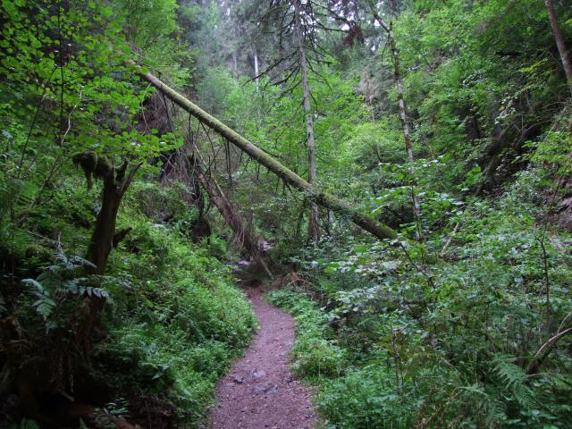 Gelegentliche Hindernisse ignorierten wir ...