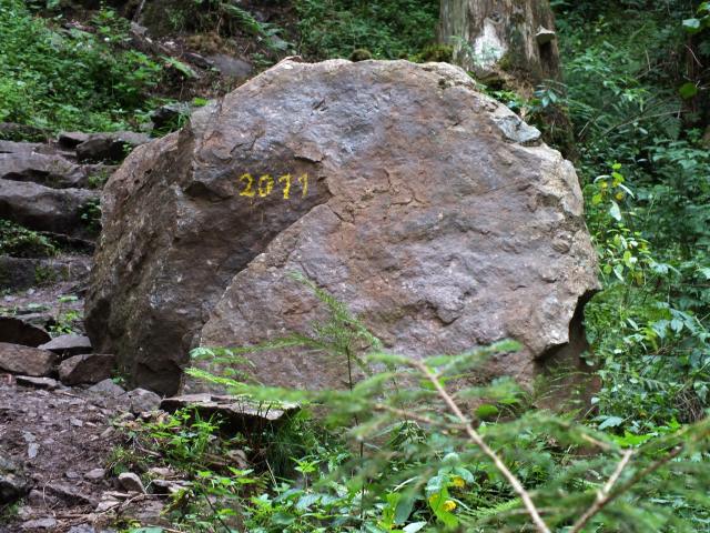 Ob die Zahl nun die Mengel der Felsbrocken angibt, ob sie ein Hinweis auf pflegerische Maßnahmen ist oder aussagt, dass dieser Brocken 2011 heruntergefallen ist, vermag ich nicht zu sagen.