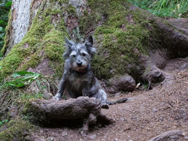 ... ein wenig auszuruhen ...