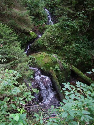 ... und dabei umzusehen.