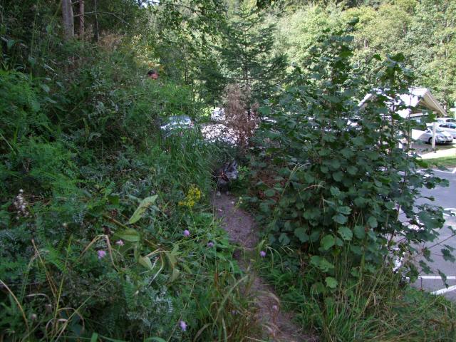 ... dem Parkplatz. Da das Ganze nicht mal eineinhalb Stunden gedauert hat, wollten wir weiter.