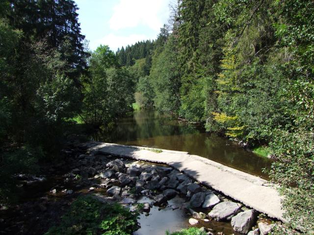 Wir überquerten die Wutach, um den Weg zum Räuberschlössle zu nehmen.