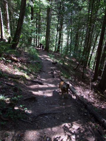 Wohlgemut nahmen wir die angeblich nur 2,5 km lange Strecke in Angriff, und sie ließ sich gut an.
