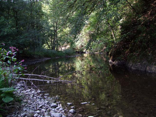 ... und wir kamen nicht weiter.