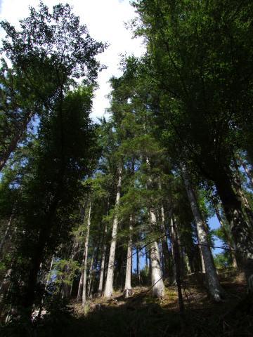 Wir entdeckten bei unserem Aufstieg ...