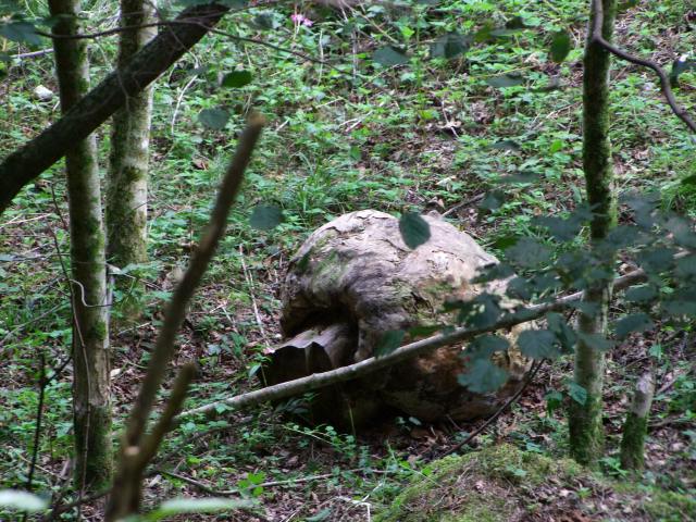 ... noch einen Holzpilz *zwinker* ...