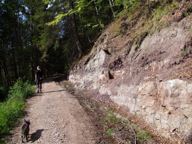 ... und dann hatte uns ...