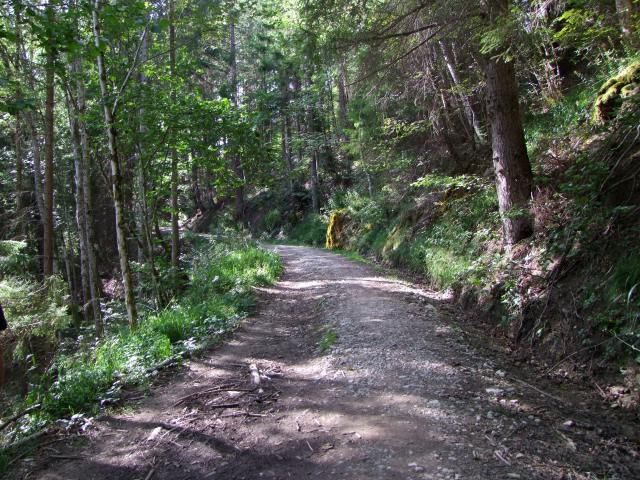 ... der unselige Weg wieder.