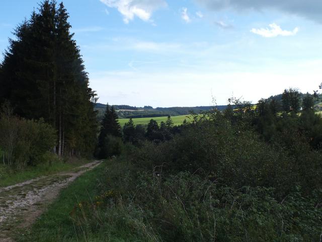 Nach gefühlten weiteren 100 km, die uns weit von der Wutach weg führten, machten wir an dieser Stelle kehrt ...