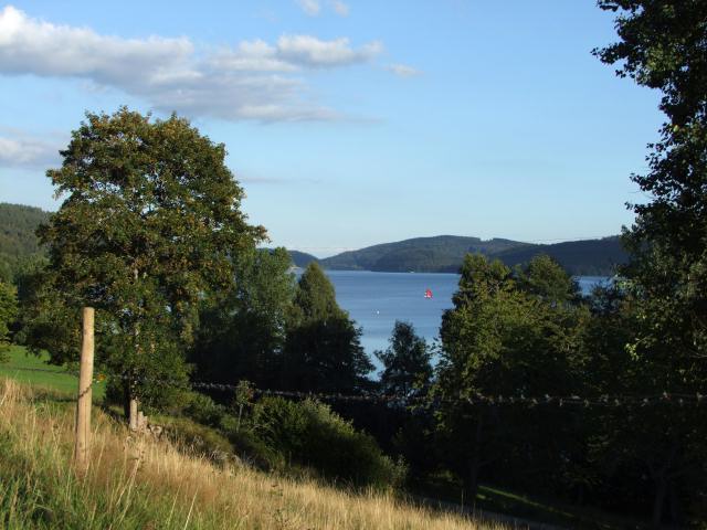 Am nächsten Tag fuhren wir zum Schluchsee.