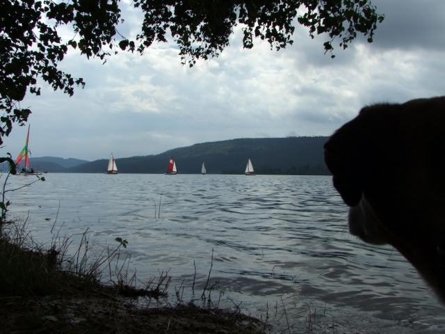 ... was Pauline ungemein interessant fand.