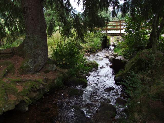 Das Bächlein hat ordentlich Kraft, so klein es ist.