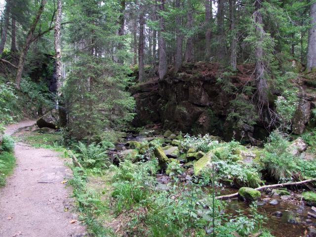 Was wir als Wasserfall anvisierten, entpuppte sich das Gelände als kleine Schlucht ...