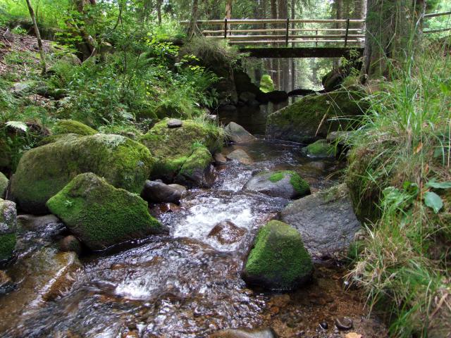 Oben plätscherte wieder idyllisch das Bächlein ...