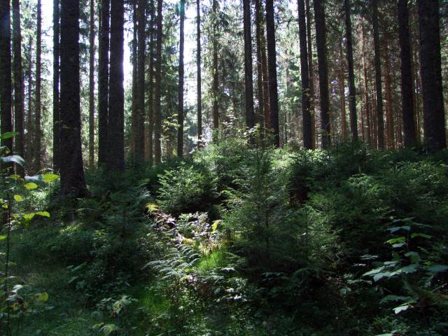 Nun ja, eigentlich, denn stattdessen liefen wir ...