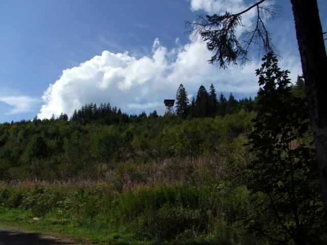 ... zum Riesenbühlturm.