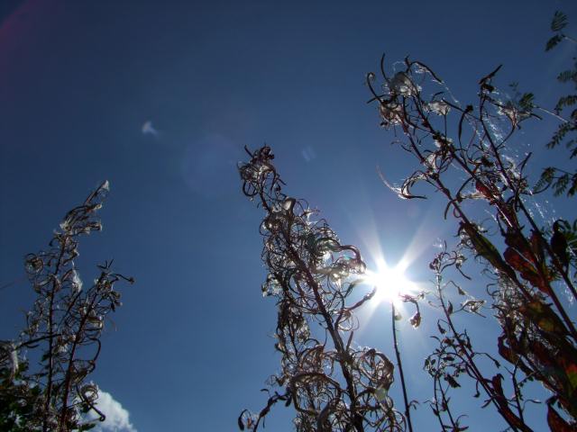 Die Sonne brannte ...