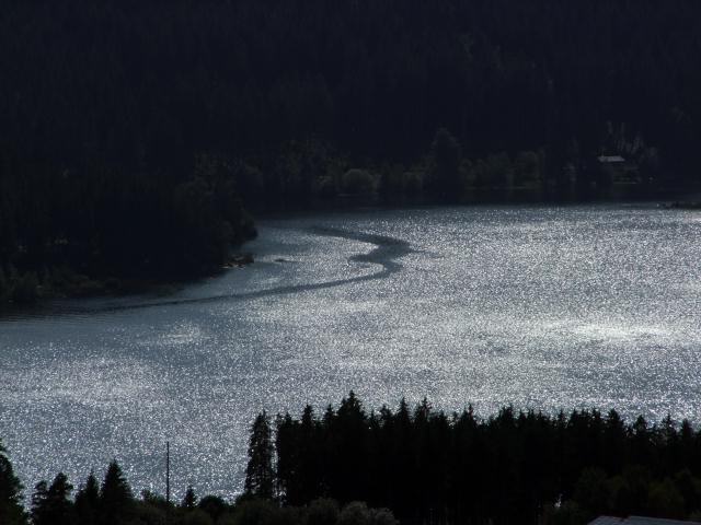 ... malten Muster in den Schluchsee.