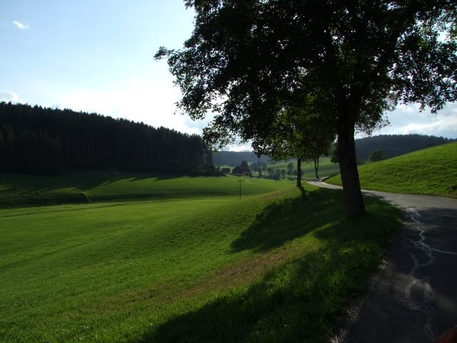 Da die Sonne uns erhalten bilieb ...