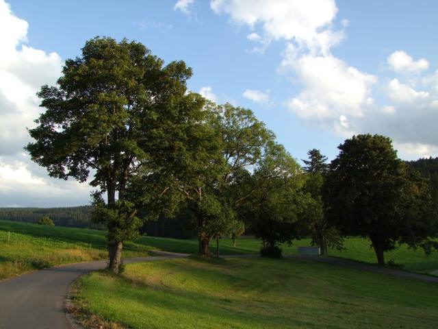 ... in der Umgebung ...