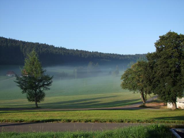 Am letzten Morgen zogen zarte Nebelschleier das Tal hinauf ...