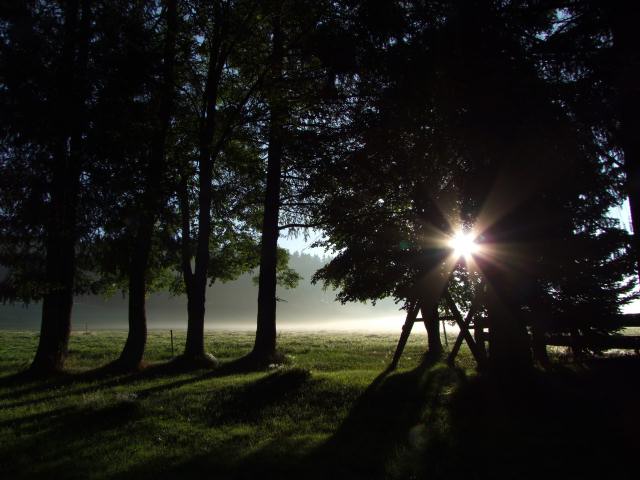 Man konnte den Eindruck gewinnen, auf den Wiesen habe es geschneit.