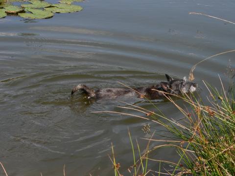 Während Jule im Wasser planschte...