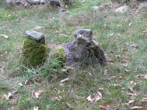 Und ein Denkmal für einen Hund