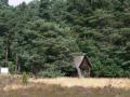 ... oder eine Kieferhütte?